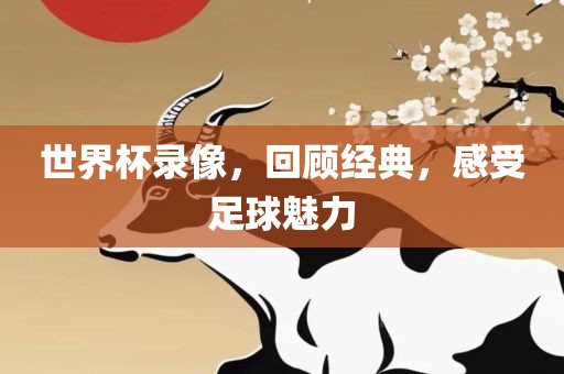 世界杯录像，回顾经典，感受足球魅力