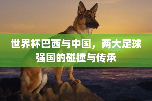 世界杯巴西与中国，两大足球强国的碰撞与传承