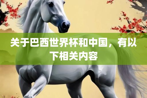 关于巴西世界杯和中国，有以下相关内容