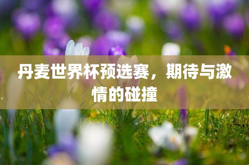 丹麦世界杯预选赛，期待与激情的碰撞
