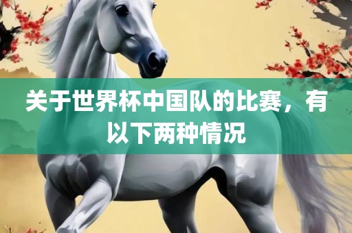 关于世界杯中国队的比赛，有以下两种情况