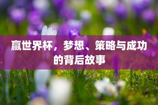 赢世界杯，梦想、策略与成功的背后故事