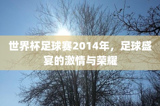 世界杯足球赛2014年，足球盛宴的激情与荣耀