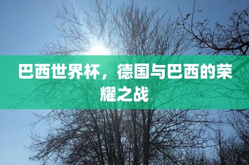 巴西世界杯，德国与巴西的荣耀之战