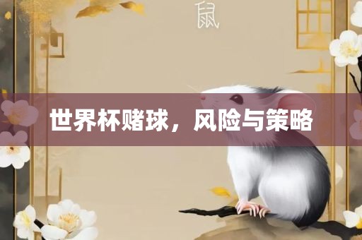 世界杯赌球，风险与策略
