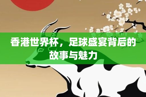 香港世界杯，足球盛宴背后的故事与魅力