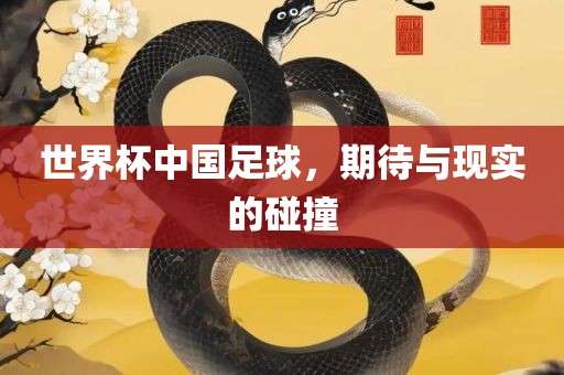 世界杯中国足球，期待与现实的碰撞