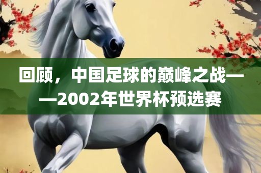 回顾，中国足球的巅峰之战——2002年世界杯预选赛
