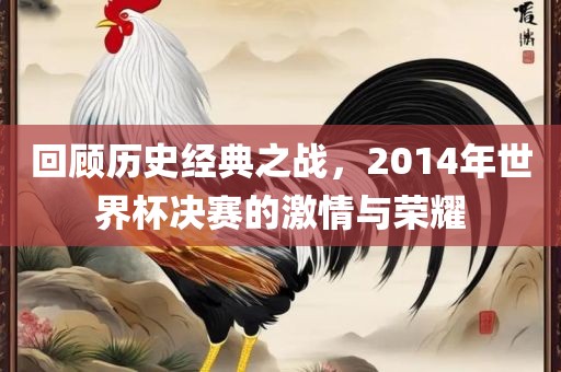 回顾历史经典之战，2014年世界杯决赛的激情与荣耀