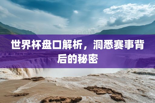 世界杯盘口解析，洞悉赛事背后的秘密
