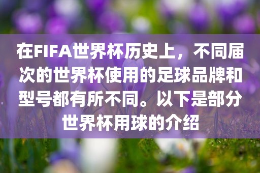 在FIFA世界杯历史上，不同届次的世界杯使用的足球品牌和型号都有所不同。以下是部分世界杯用球的介绍