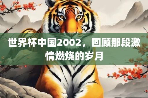 世界杯中国2002，回顾那段激情燃烧的岁月