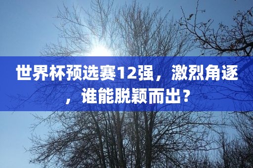 世界杯预选赛12强，激烈角逐，谁能脱颖而出？