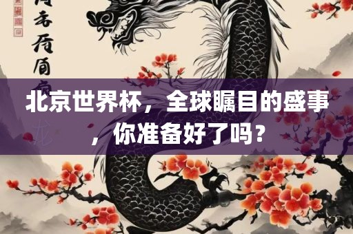 北京世界杯，全球瞩目的盛事，你准备好了吗？