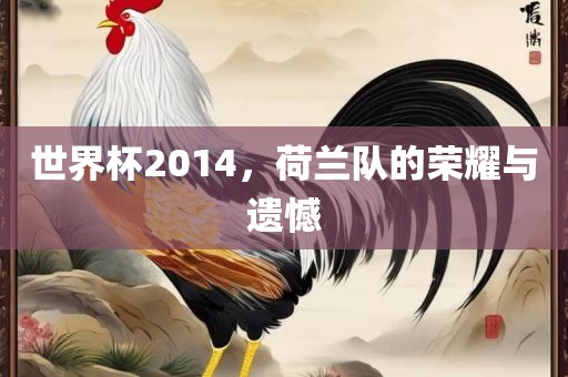 世界杯2014，荷兰队的荣耀与遗憾