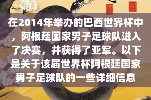 在2014年举办的巴西世界杯中，阿根廷国家男子足球队进入了决赛，并获得了亚军。以下是关于该届世界杯阿根廷国家男子足球队的一些详细信息