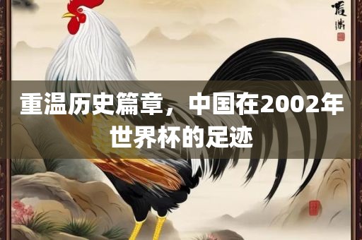重温历史篇章，中国在2002年世界杯的足迹