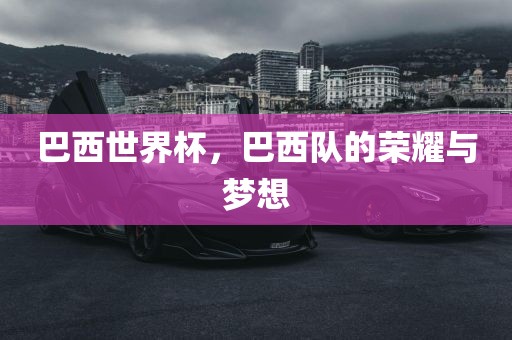 巴西世界杯，巴西队的荣耀与梦想