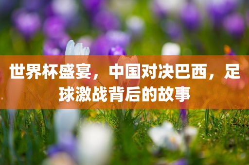 世界杯盛宴，中国对决巴西，足球激战背后的故事