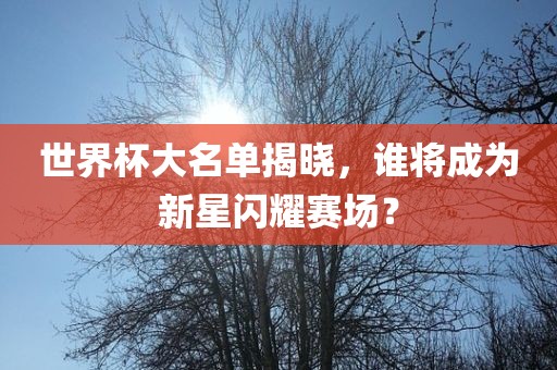 世界杯大名单揭晓，谁将成为新星闪耀赛场？