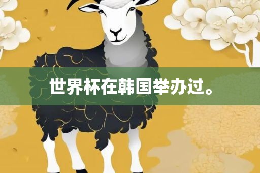 世界杯在韩国举办过。
