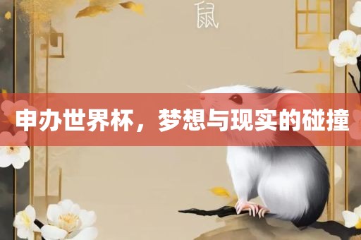 申办世界杯，梦想与现实的碰撞