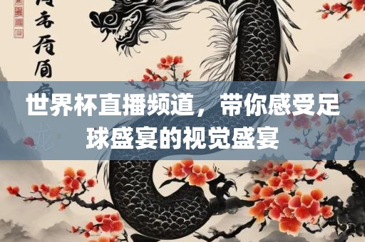 世界杯直播频道，带你感受足球盛宴的视觉盛宴