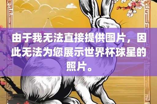 由于我无法直接提供图片，因此无法为您展示世界杯球星的照片。