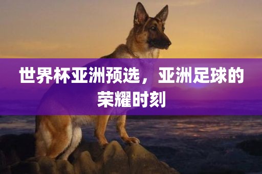 世界杯亚洲预选，亚洲足球的荣耀时刻