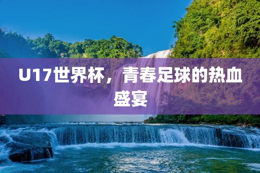 U17世界杯，青春足球的热血盛宴