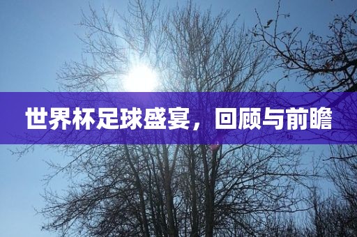 世界杯足球盛宴，回顾与前瞻