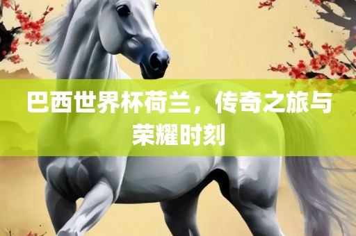 巴西世界杯荷兰，传奇之旅与荣耀时刻