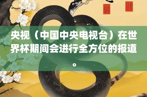 央视（中国中央电视台）在世界杯期间会进行全方位的报道。