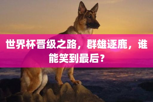 世界杯晋级之路，群雄逐鹿，谁能笑到最后？