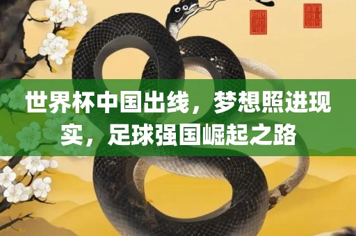 世界杯中国出线，梦想照进现实，足球强国崛起之路