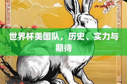 世界杯美国队，历史、实力与期待