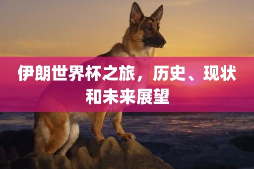 伊朗世界杯之旅，历史、现状和未来展望