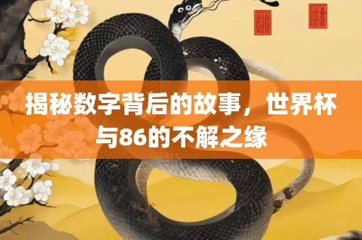 揭秘数字背后的故事，世界杯与86的不解之缘
