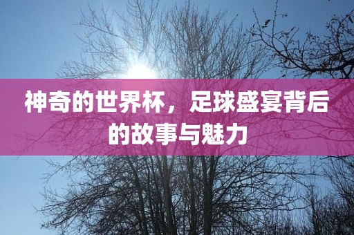神奇的世界杯，足球盛宴背后的故事与魅力