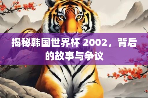 揭秘韩国世界杯 2002，背后的故事与争议