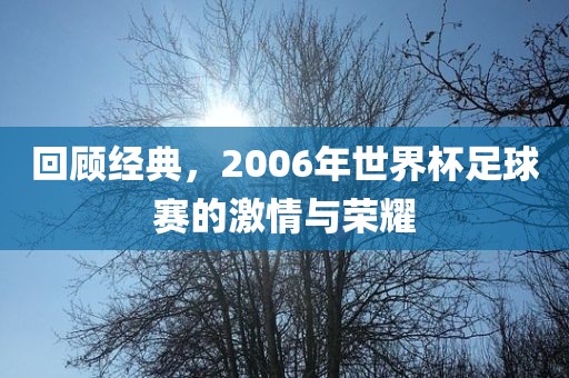 回顾经典，2006年世界杯足球赛的激情与荣耀