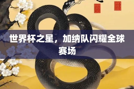 世界杯之星，加纳队闪耀全球赛场
