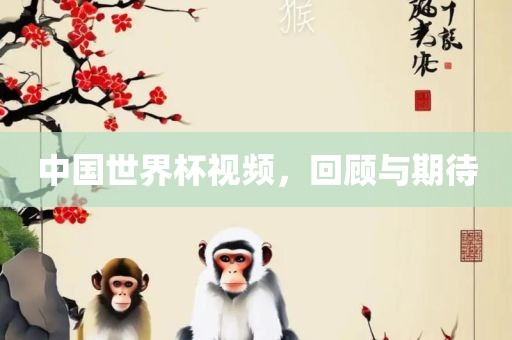 中国世界杯视频，回顾与期待