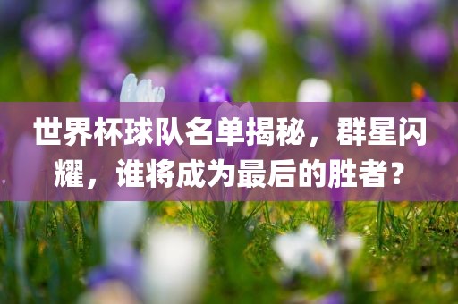 世界杯球队名单揭秘，群星闪耀，谁将成为最后的胜者？