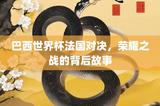 巴西世界杯法国对决，荣耀之战的背后故事