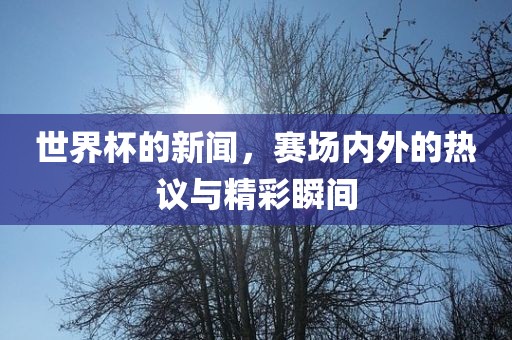 世界杯的新闻，赛场内外的热议与精彩瞬间