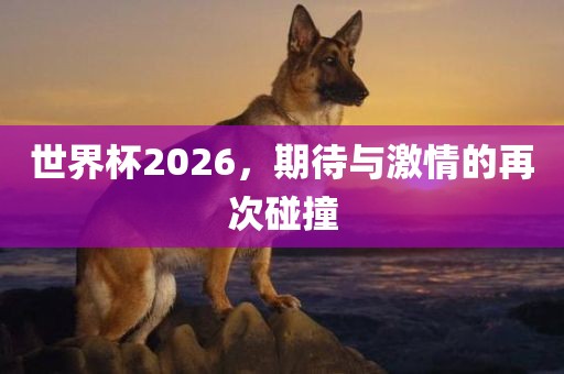 世界杯2026，期待与激情的再次碰撞