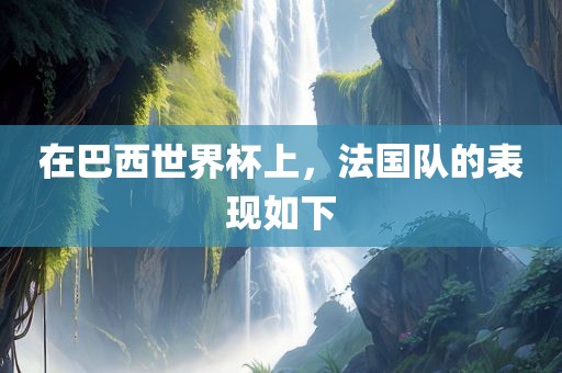 在巴西世界杯上，法国队的表现如下