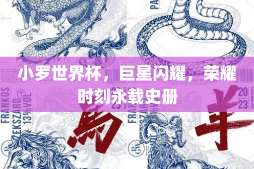 小罗世界杯，巨星闪耀，荣耀时刻永载史册