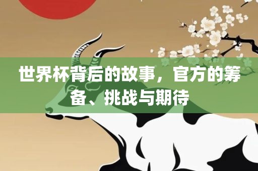 世界杯背后的故事，官方的筹备、挑战与期待